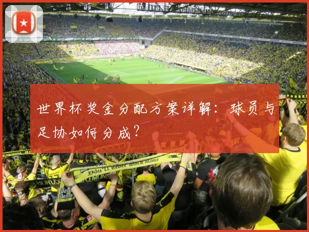 世界杯奖金分配方案详解：球员与足协如何分成？
