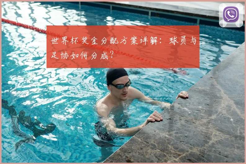 世界杯奖金分配方案详解：球员与足协如何分成？